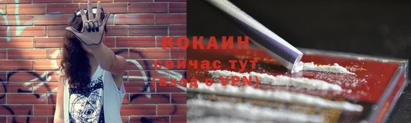 дмт Абаза