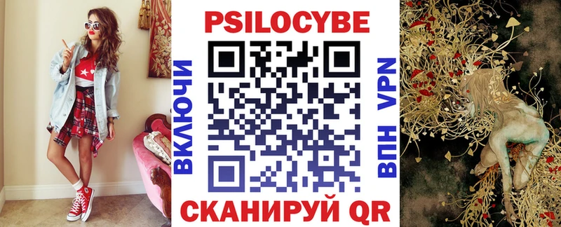 ОМГ ОМГ ТОР  как найти наркотики  Новосибирск  Псилоцибиновые грибы Cubensis 